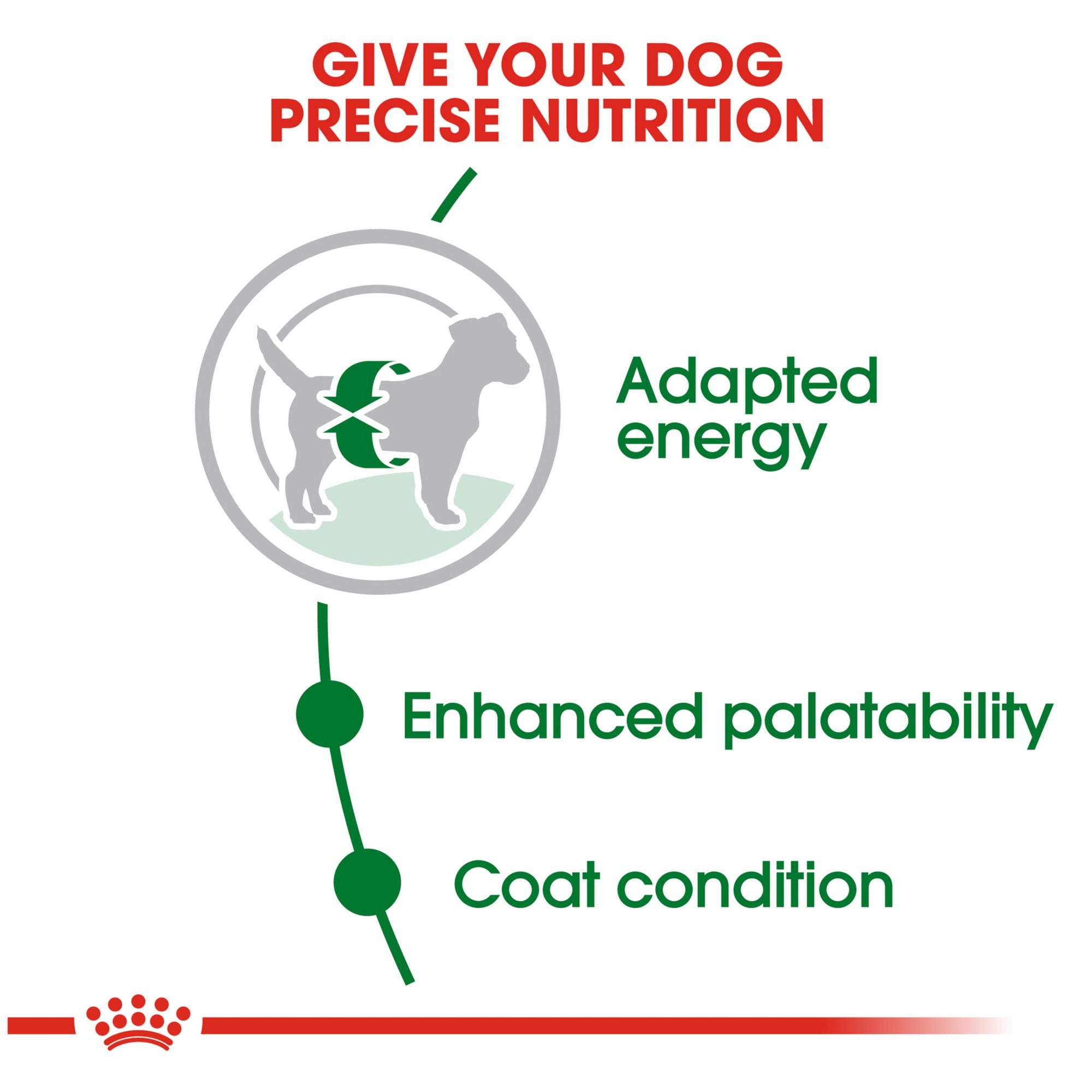 Royal Canin Size Health Nutrition Small Adult Formula Dog Dry Food