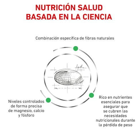 Royal Canin Veterinary Diet Canine Satiety Support Dry Food