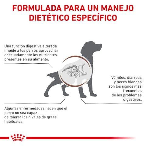 Royal Canin Veterinary Diet Gastrointestinal Low Fat Dry Dog Food - 172pets.com