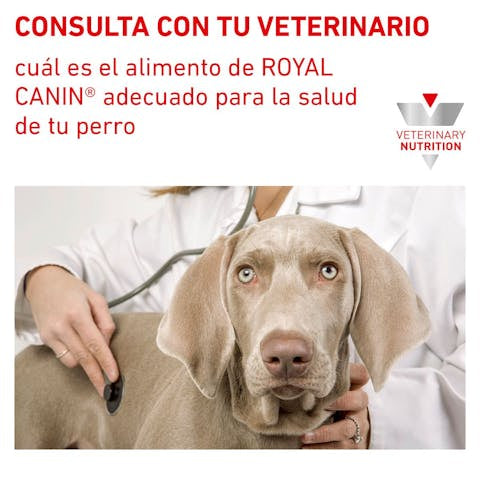 Royal Canin Veterinary Diet Hydrolyzed Protein Adult HP Dry Dog Food - 172pets.com