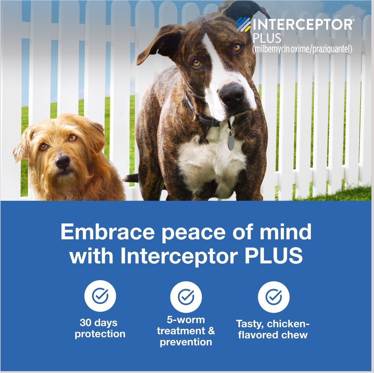 Interceptor Plus Chewable Tablets for Dogs, 8.1-25 lbs - 172pets.com