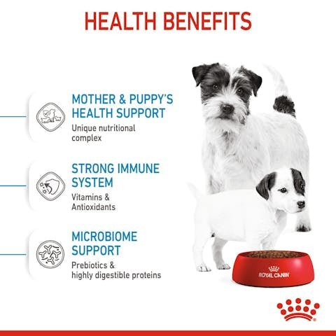 Royal Canin® Size Health Nutrition MINI Starter Mother & Babydog Dog Food - 172pets.com