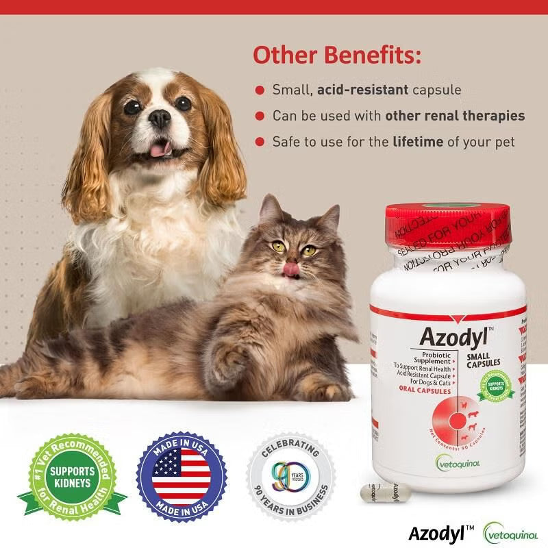 Azodyl – Small Cap 90 cap Renal Supplement for Dogs and Cats - 172pets.com