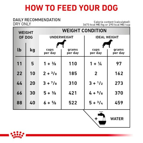 Royal Canin Veterinary Diet Early Cardiac Dry Dog Food - 172pets.com
