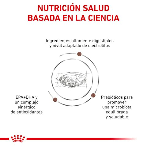 Royal Canin Veterinary Diet Gastrointestinal Low Fat Dry Dog Food - 172pets.com