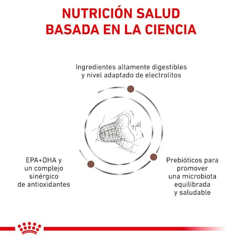 Royal Canin Veterinary Diet Gastrointestinal Fiber Response Dry Cat Food, 8.8-lb bag - 172pets.com