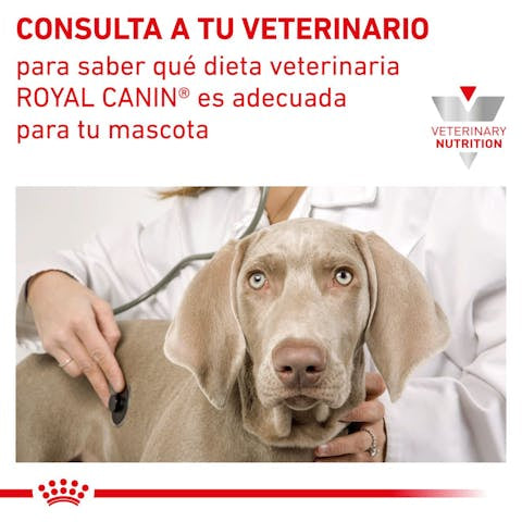 Royal Canin Veterinary Diet Feline And Canine Recovery RS , 5.8 oz. can