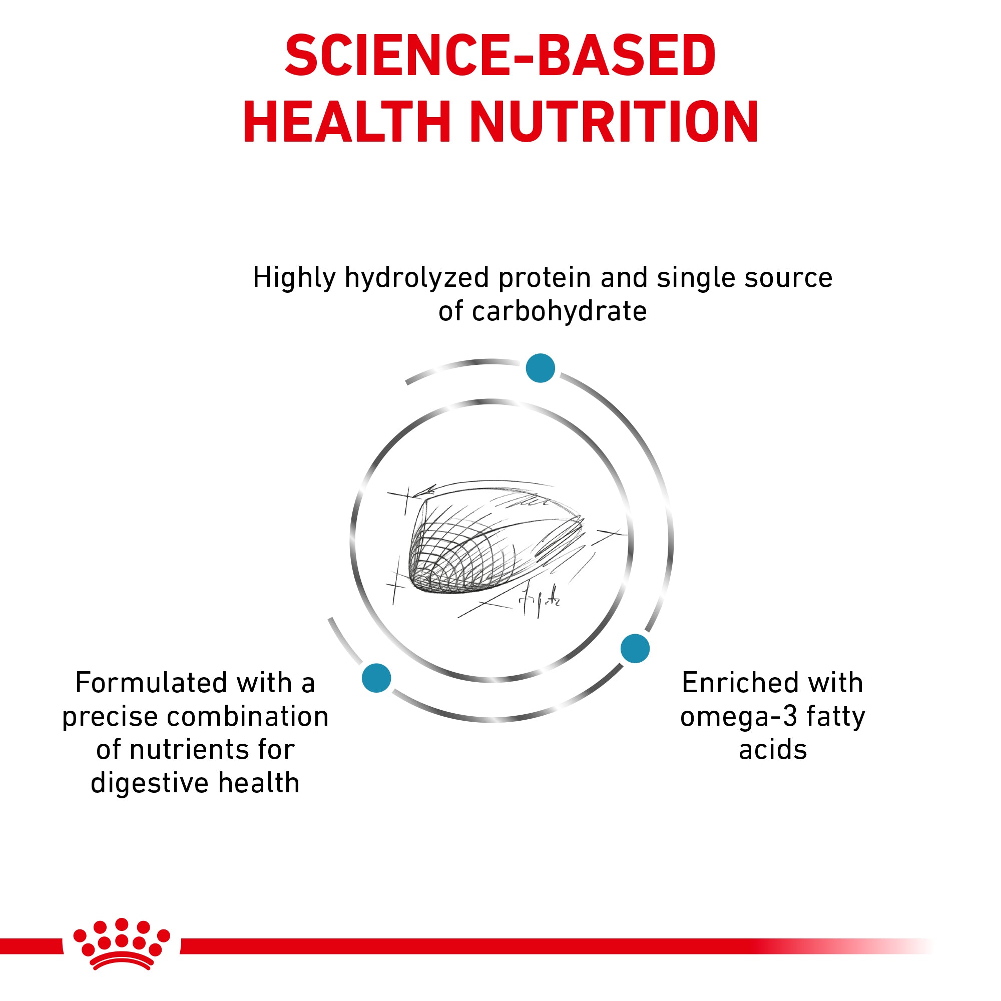 Royal Canin Veterinary Diet Hydrolyzed Protein HP Dry Cat Food - 172pets.com