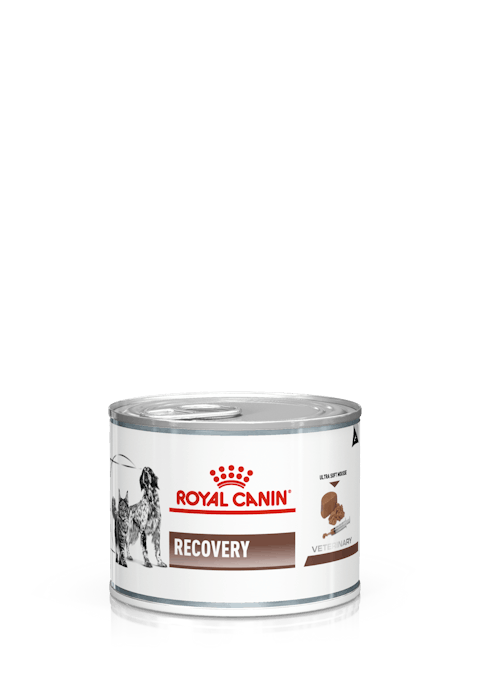 Royal Canin Veterinary Diet Feline And Canine Recovery RS , 5.8 oz. can