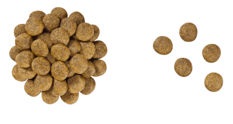 Royal Canin Veterinary Diet Early Cardiac Dry Dog Food - 172pets.com