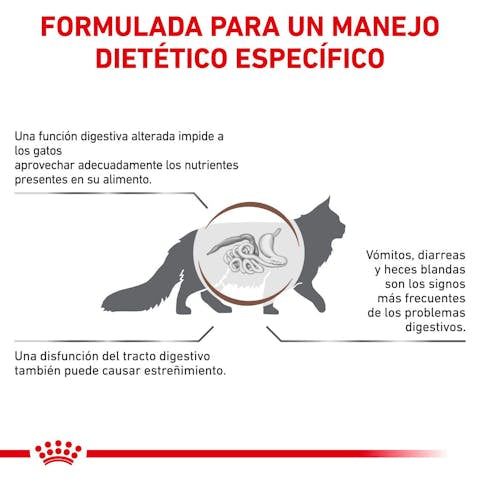 Royal Canin Veterinary Diet Gastrointestinal Fiber Response Dry Cat Food, 8.8-lb bag - 172pets.com