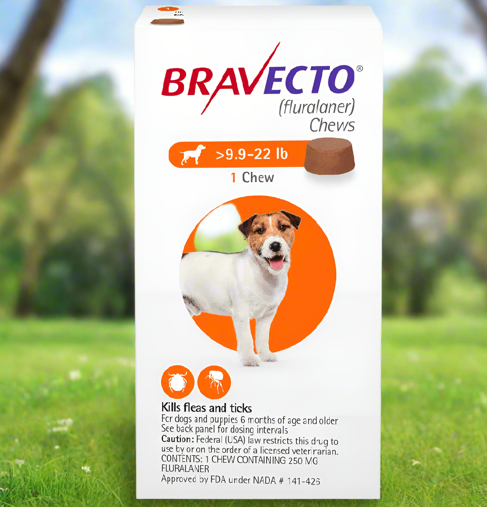 Bravecto Chews for Dogs, 9.9-22 lbs (12 weeks) - 172pets.com