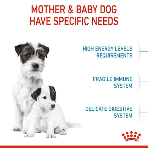 Royal Canin® Size Health Nutrition MINI Starter Mother & Babydog Dog Food - 172pets.com