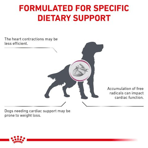 Royal Canin Veterinary Diet Early Cardiac Dry Dog Food - 172pets.com