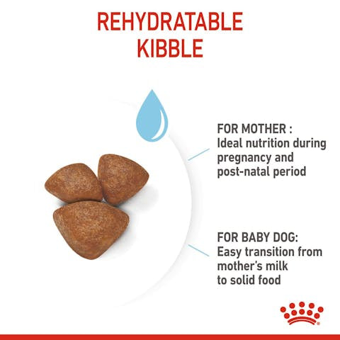 Royal Canin® Size Health Nutrition MINI Starter Mother & Babydog Dog Food - 172pets.com