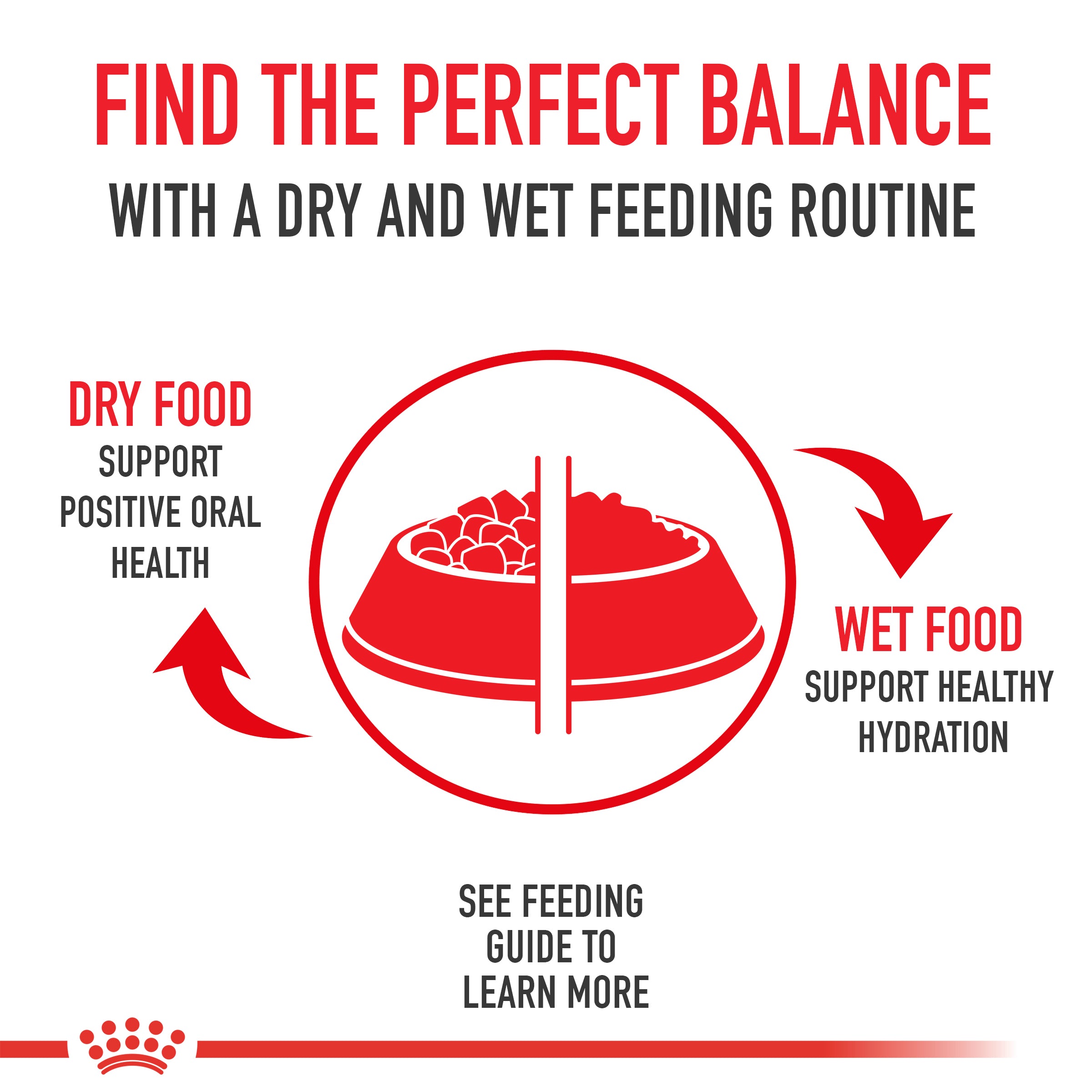 Royal Canin Size Health Nutrition Small Adult Formula Dog Dry Food