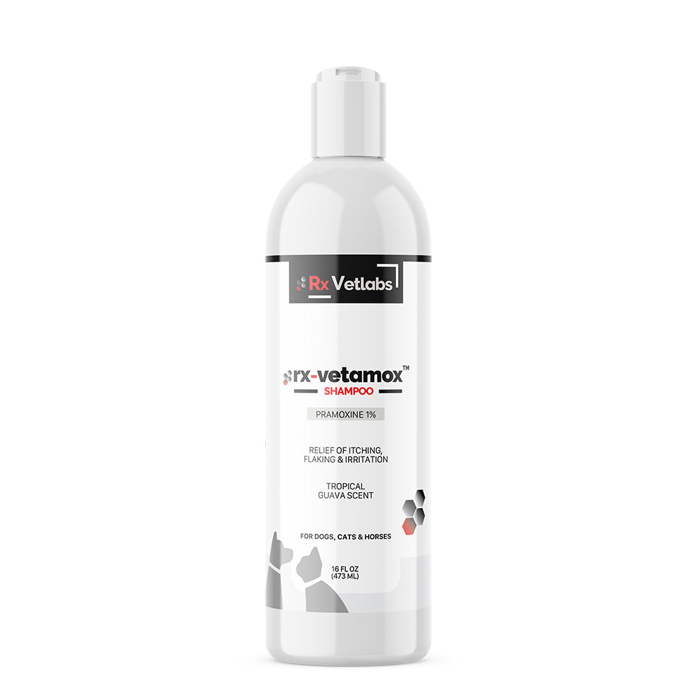 rx-vetamox shampoo - 172pets.com