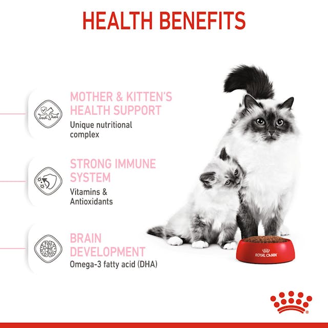 Royal Canin Mother & Babycat Dry Cat Food for Newborn Kittens, Pregnant & Nursing Cats - 172pets.com