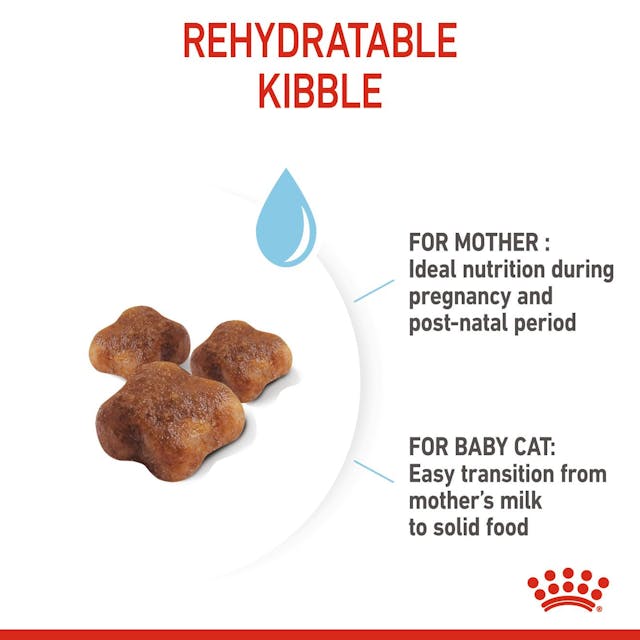 Royal Canin Mother & Babycat Dry Cat Food for Newborn Kittens, Pregnant & Nursing Cats - 172pets.com