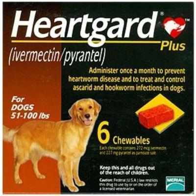 los perros mayores necesitan heartgard