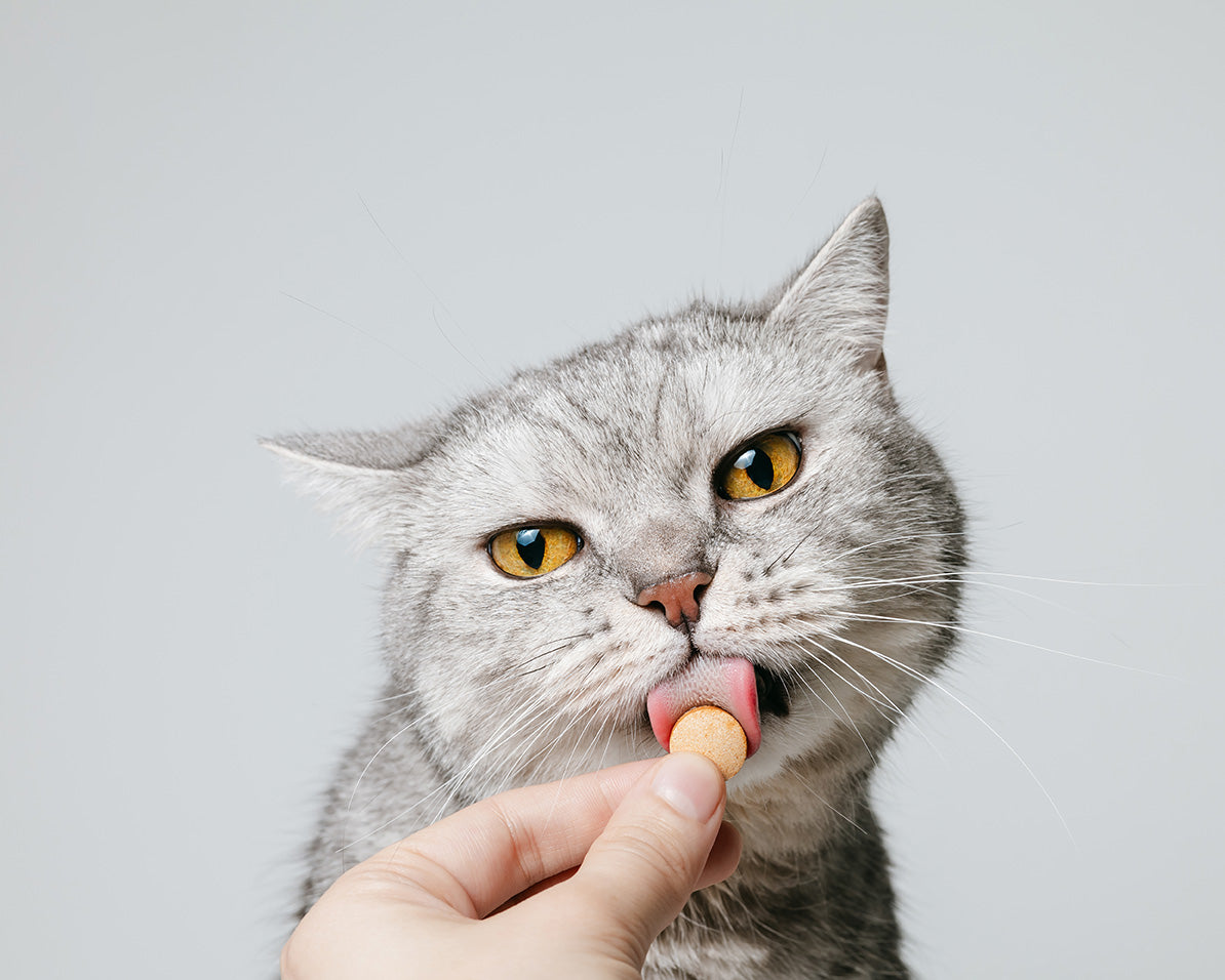 Cats Supplements and Vitamins