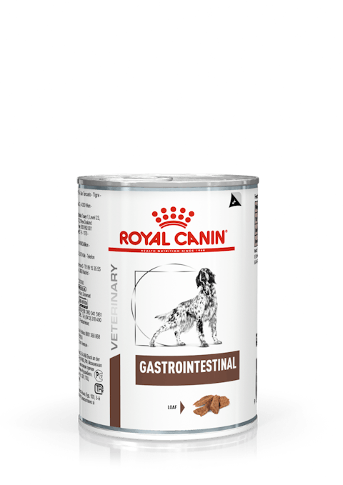 Royal Canin Veterinary Diet Gastrointestinal Canned Dog Food, 13.6-oz