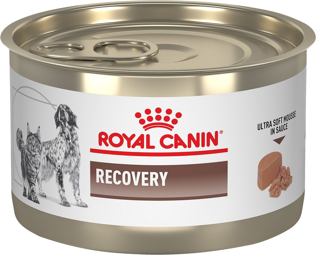 Royal Canin Veterinary Diet Feline And Canine Recovery RS , 5.8 oz. can