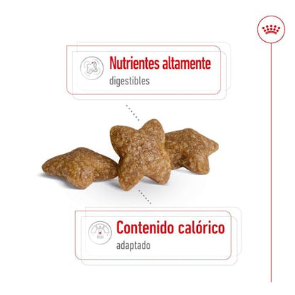 Royal Canin Size Health Nutrition Small Adult Formula Dog Dry Food