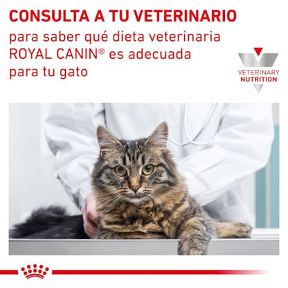 Royal Canin Veterinary Diet Gastrointestinal Dry Cat Food, 8.8-lb bag