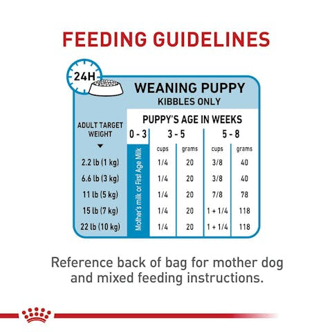 Royal Canin® Size Health Nutrition MINI Starter Mother & Babydog Dog Food