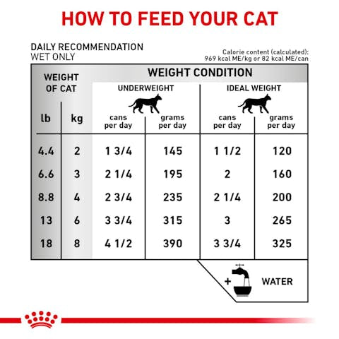 Royal Canin Veterinary Diet Renal Support T Canned Cat Food, 3oz