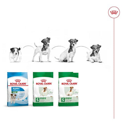 Royal Canin Size Health Nutrition Small Adult Formula Dog Dry Food