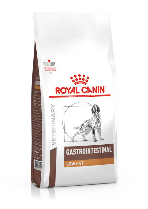 Royal Canin Veterinary Diet Gastrointestinal Low Fat Dry Dog Food