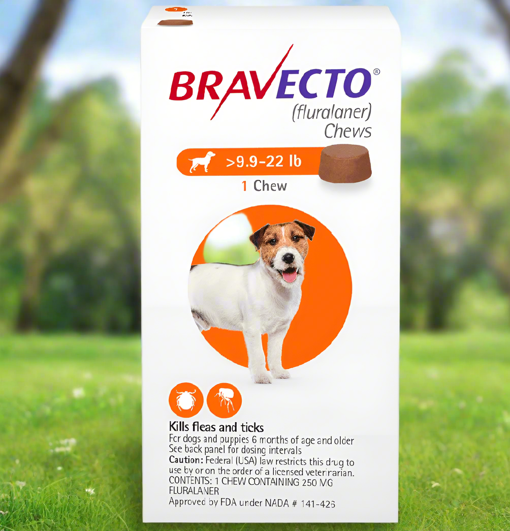 Bravecto Chews for Dogs, 9.9-22 lbs (12 weeks)