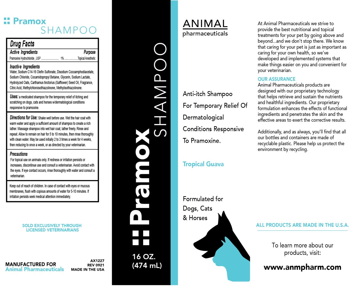 Pramox Shampoo - 172pets.com