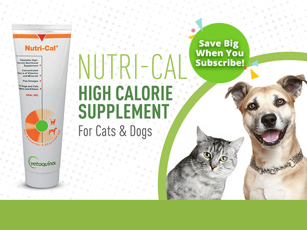 Nutri-Cal for Cats and Dogs 4.25 oz. - 172pets.com