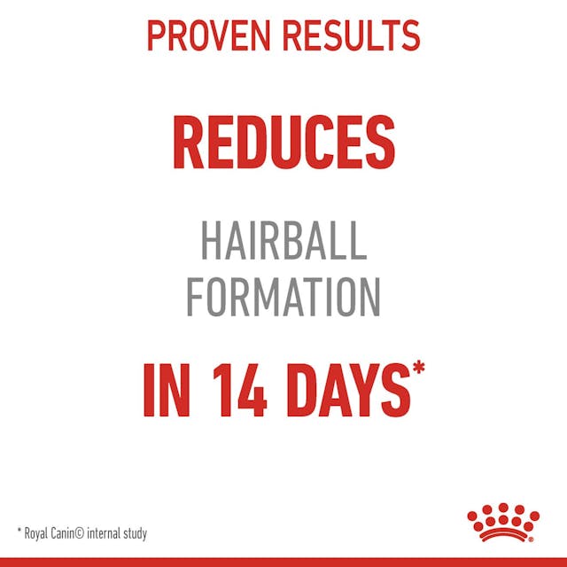 Royal Canin Hairball Care Dry Cat Food 3lbs to 6lbs - 172pets.com