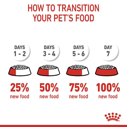 Royal Canin Hairball Care Dry Cat Food 3lbs to 6lbs - 172pets.com