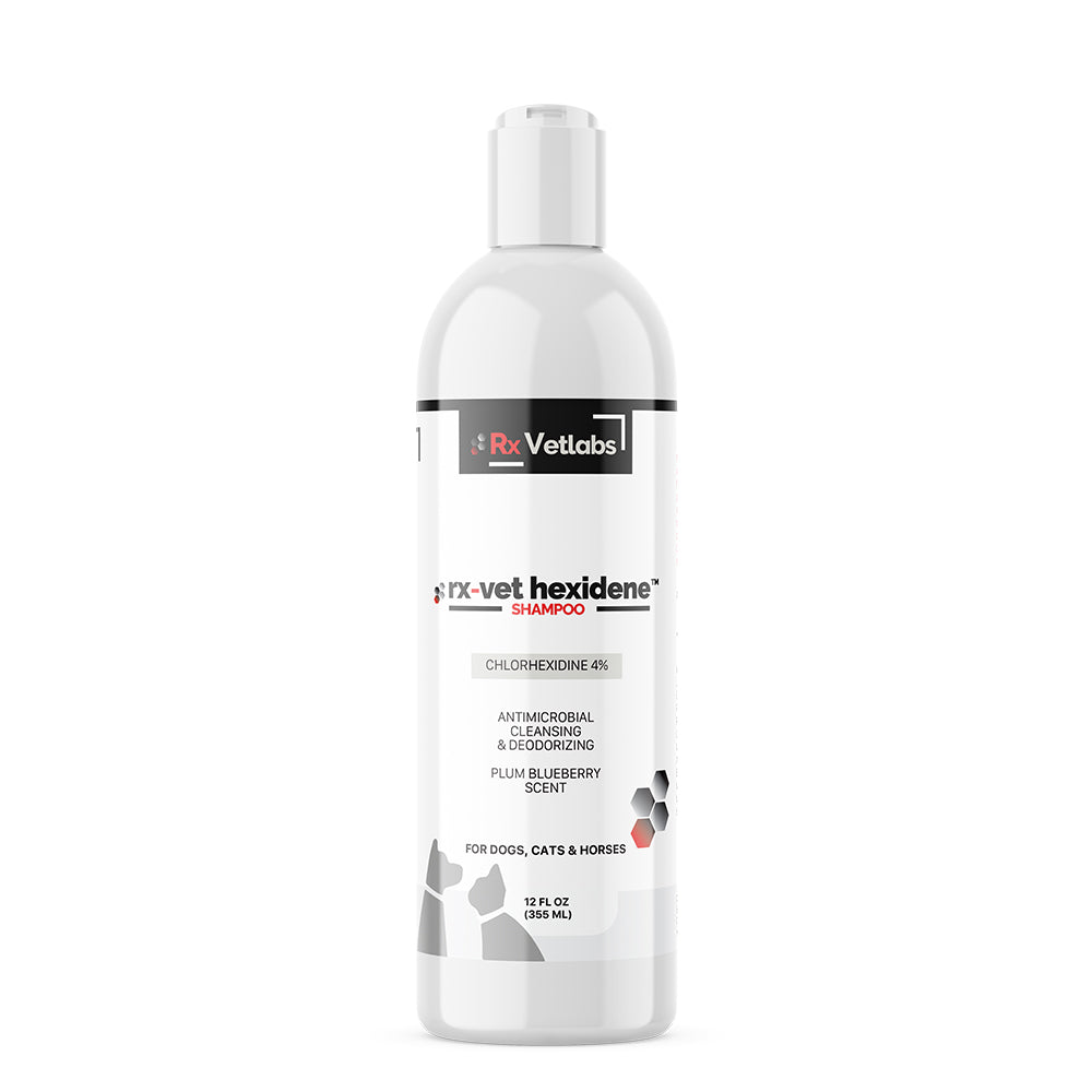 rx-vet hexidene shampoo