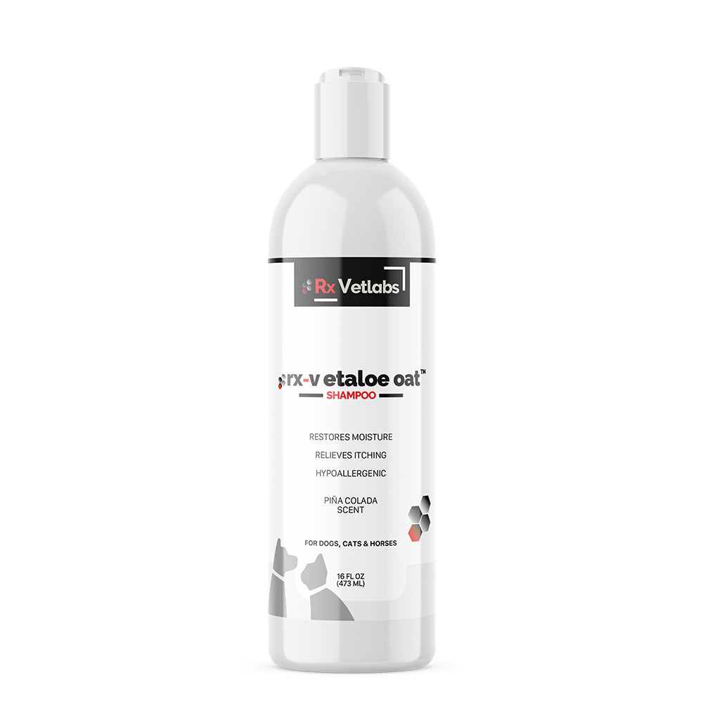 rx-vetaloe oat Shampoo