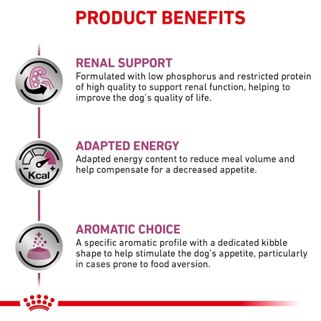 Royal Canin Veterinary Diet Renal Support A (Aromatic) Dry Dog Food - 172pets.com