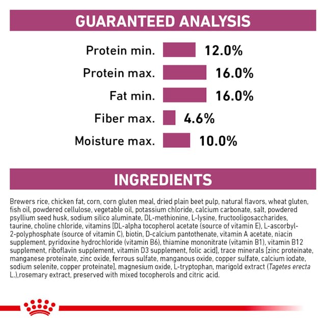 Royal Canin Veterinary Diet Renal Support A (Aromatic) Dry Dog Food - 172pets.com