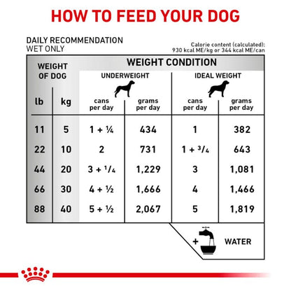 Royal Canin Veterinary Diet Renal Support D Canned Dog Food, 13.5-oz - 172pets.com