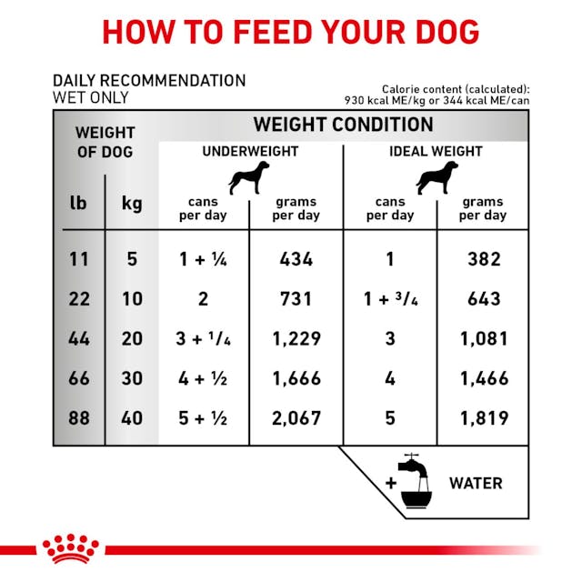 Royal Canin Veterinary Diet Renal Support D Canned Dog Food, 13.5-oz - 172pets.com