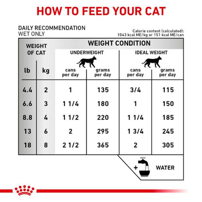 Royal Canin Veterinary Diet Renal Support E Canned Cat Food, 5.8-oz - 172pets.com