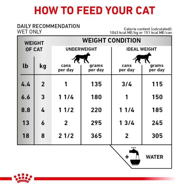 Royal Canin Veterinary Diet Renal Support E Canned Cat Food, 5.8-oz - 172pets.com