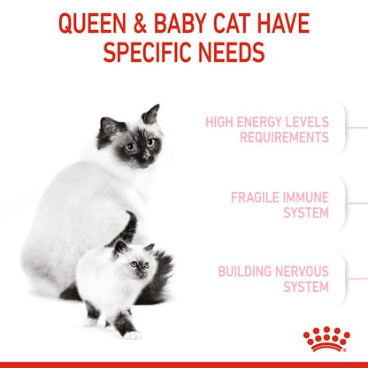 Royal Canin Mother & Babycat Dry Cat Food for Newborn Kittens, Pregnant & Nursing Cats - 172pets.com