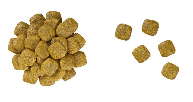 Royal Canin Veterinary Diet Renal Support A (Aromatic) Dry Dog Food - 172pets.com