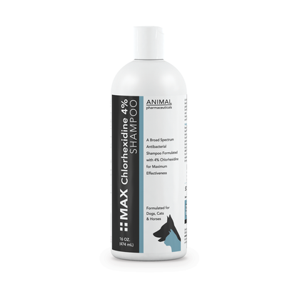 Max Chlorhexidine Shampoo 4% (12oz) - 172pets.com