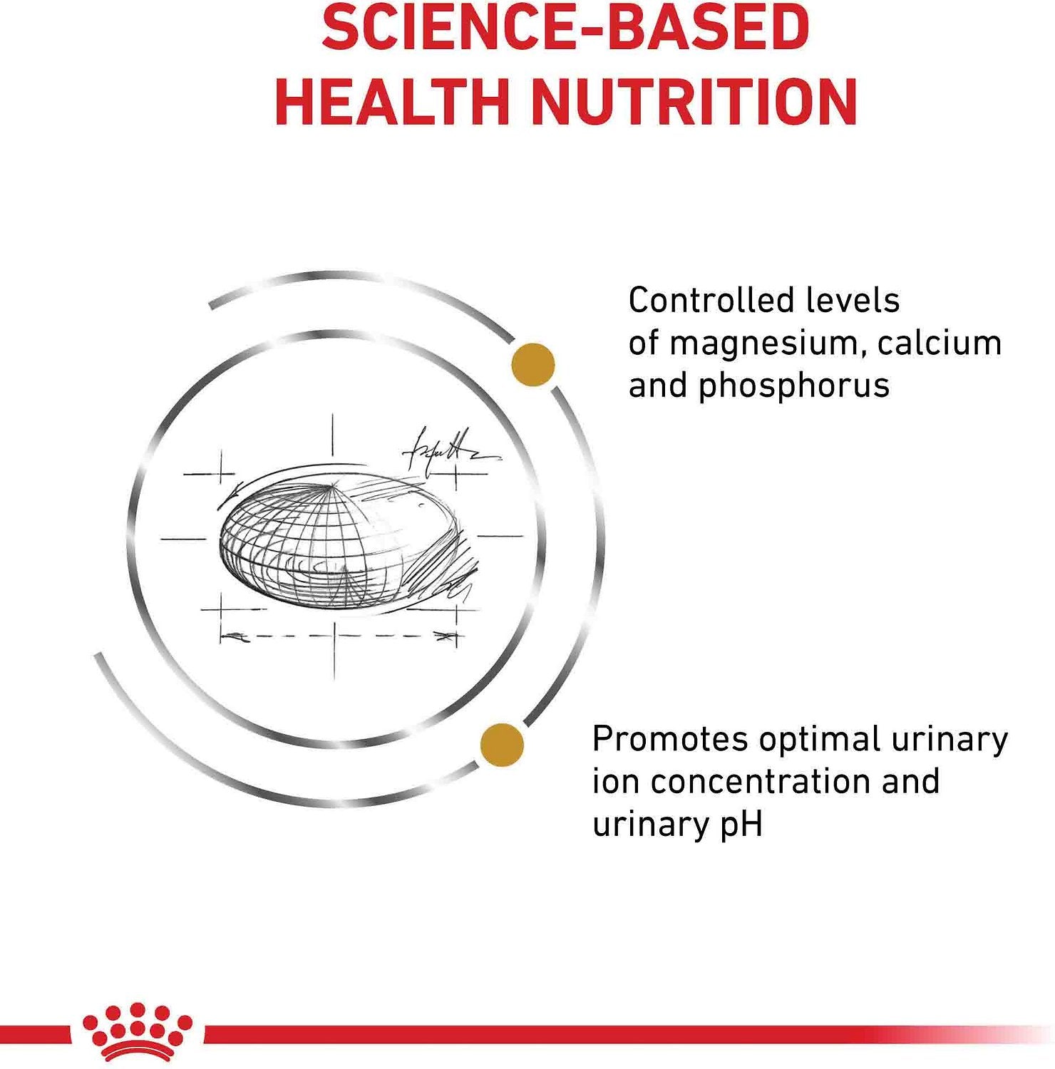 Royal Canin Veterinary Diet Urinary SO Dry Cat Food - 172pets.com
